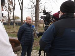 Szeged, önkormányzat, faültetés, fásítás, fa, Kállay liget