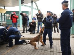 Röszke, Horváth László, kormánybiztos, Töreki Sándor, vezérőrnagy, sajtótájékoztató, kábítószer, drog, DELTA Program, Röszkei Autópálya Határátkelőhely, határ, határátkelő