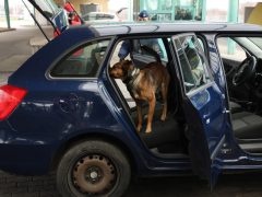 Röszke, Horváth László, kormánybiztos, Töreki Sándor, vezérőrnagy, sajtótájékoztató, kábítószer, drog, DELTA Program, Röszkei Autópálya Határátkelőhely, határ, határátkelő