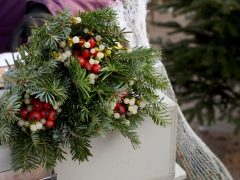 Szeged, fenyő vásár, fenyő, karácsony, Mars téri piac