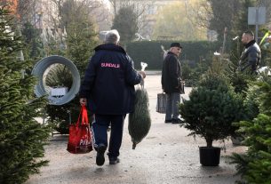 Szeged, fenyő vásár, fenyő, karácsony, Mars téri piac