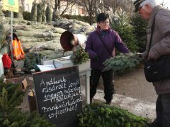 Szeged, fenyő vásár, fenyő, karácsony, Mars téri piac