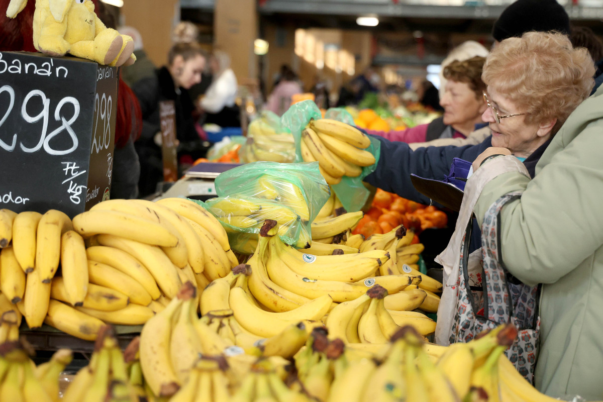 Szeged, hús, kolbász, savanyú káposzta, savanyúság, hal, dió, mák, gesztenye, szaloncukor, banán, mandarin, díszek, Mars téri piac, piac, vásárlás, karácsony, élelmiszer