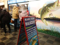 Szeged, hús, kolbász, savanyú káposzta, savanyúság, hal, dió, mák, gesztenye, szaloncukor, banán, mandarin, díszek, Mars téri piac, piac, vásárlás, karácsony, élelmiszer