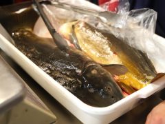 Szeged, hús, kolbász, savanyú káposzta, savanyúság, hal, dió, mák, gesztenye, szaloncukor, banán, mandarin, díszek, Mars téri piac, piac, vásárlás, karácsony, élelmiszer