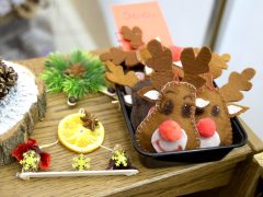 Szeged, Karitász, karácsonyi vásár, kézműves vásár, Nagyáruház