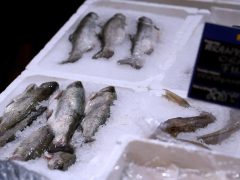 Szeged, Metro, áruház, vásárlás, hal, hús, pezsgő, alkohol, édesség, tányér, robotgép, hűtő, edény, makói hagyma