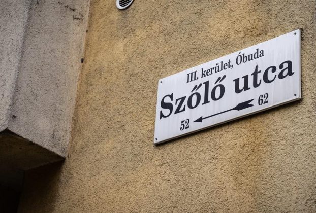 Szőlő utca. Gyermekvédelem. Gyermekbántalmazás. Javítóintézet. Fotó: Dobrev Klára hivatalos Facebook-oldala