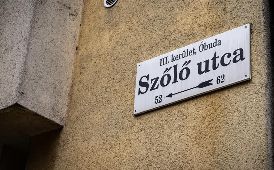 Szőlő utca. Gyermekvédelem. Gyermekbántalmazás. Javítóintézet. Fotó: Dobrev Klára hivatalos Facebook-oldala