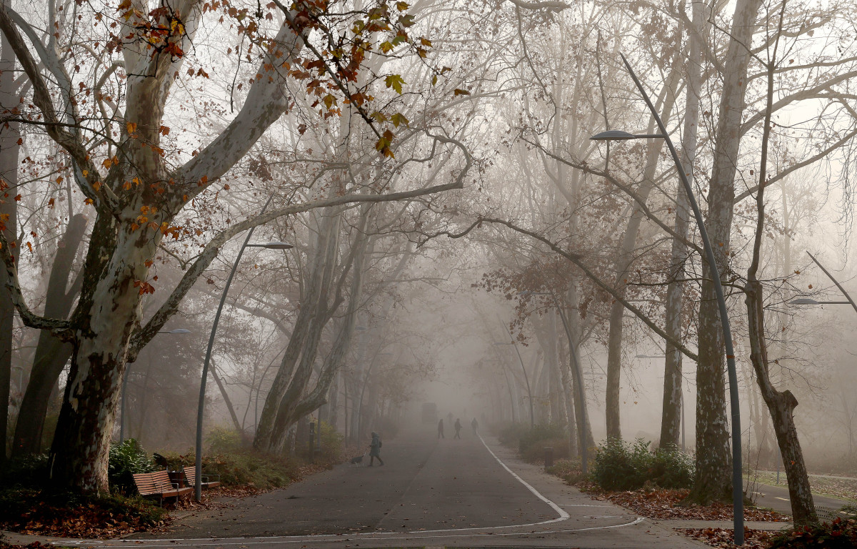 Szeged, köd, december, időjárás, liget, tél