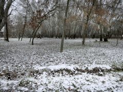 Szeged, havazás, január, tél, időjárás
