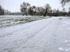 Szeged, havazás, január, tél, időjárás