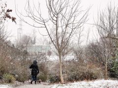 Szeged, havazás, január, tél, hó, időjárás