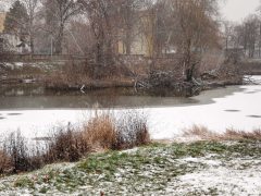 Szeged, havazás, január, tél, hó, időjárás, befagyott, Zápor-tó