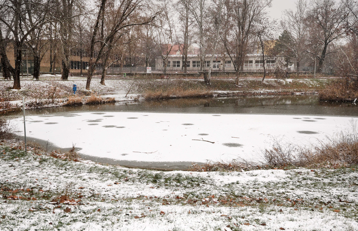 Szeged, havazás, január, tél, hó, időjárás, befagyott, Zápor-tó