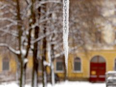 Szeged, havazás, hó, január, tél, időjárás