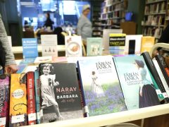 Szeged, legolvasottabb könyvek, könyv, Somogyi könyvtár