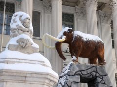 Szeged, havazás, hó, január, tél, időjárás, Móra Ferenc Múzeum, múzeum