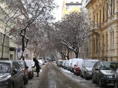 Szeged, havazás, hó, január, tél, időjárás