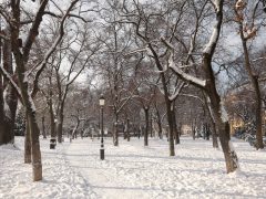 Szeged, havazás, hó, január, tél, időjárás, Stefánia