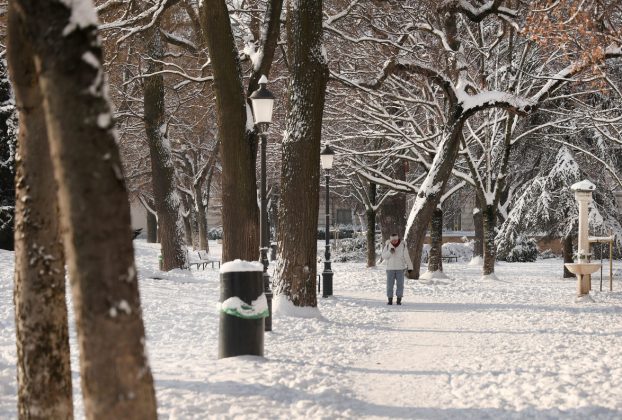 Szeged, havazás, hó, január, tél, időjárás, Stefánia