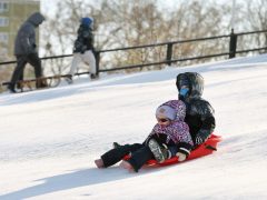 Szeged, hó, időjárás, január, tél, szánkózás, Vér-tói domb, Vér-tó