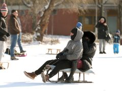 Szeged, hó, időjárás, január, tél, szánkózás, Vér-tói domb, Vér-tó