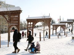Szeged, hó, időjárás, január, tél, szánkózás, Vér-tói domb, Vér-tó