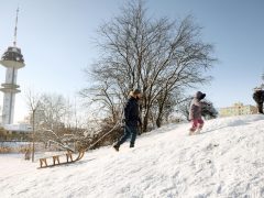 Szeged, hó, időjárás, január, tél, szánkózás, Vér-tói domb, Vér-tó
