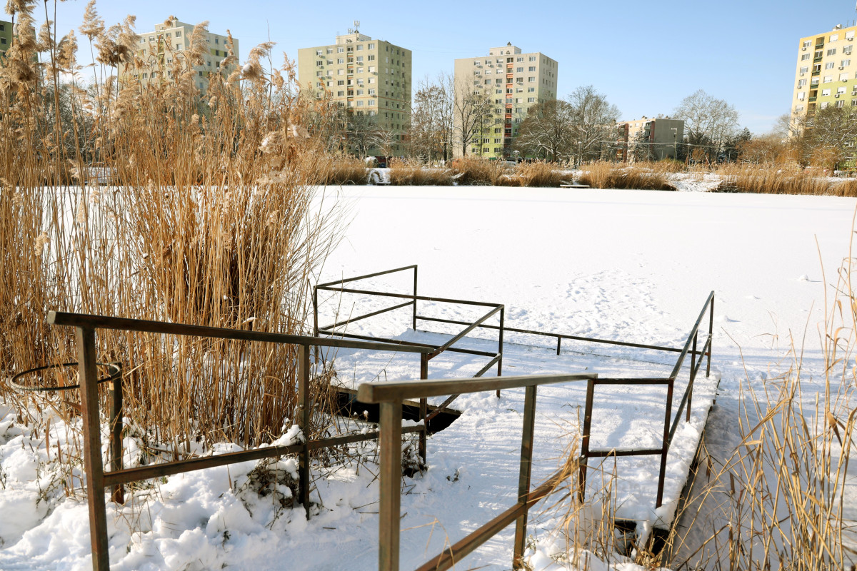 Szeged, hó, időjárás, január, tél, Vér-tó, fagy, befagyott