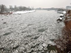 Szeged, jégzajlás, jég, január, tél, fagy, folyó, Tisza