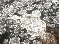 Szeged, jégzajlás, jég, január, tél, fagy, folyó, Tisza