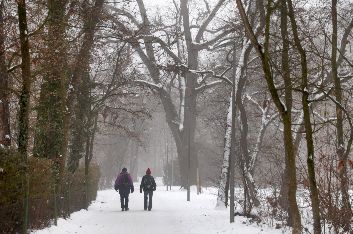 Szeged, újszegedi liget, liget, tél, január, időjárás