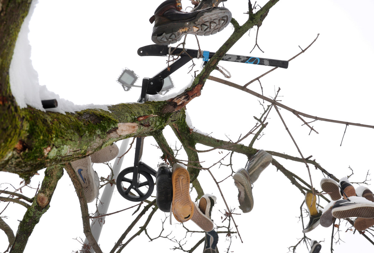 Szeged, cipők, fán cipők, fa, újszegedi liget, liget