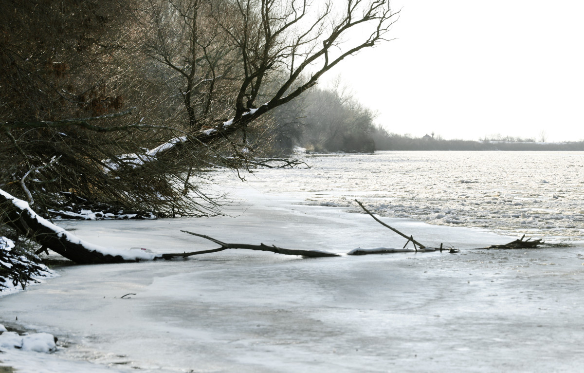 Szeged, Tisza part, Tisza, január, tél, Lapos