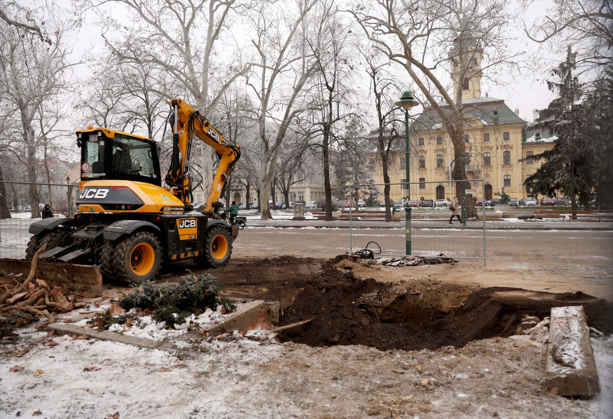 Szeged, kivágás, disznófejes fa, fa, Széchenyi tér, tuskó eltávolítás