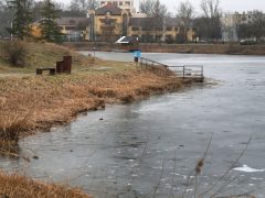 Szeged, Vér-tó, nád, nádvágás, január