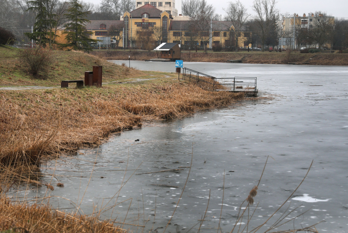 Szeged, Vér-tó, nád, nádvágás, január