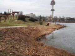 Szeged, Vér-tó, nád, nádvágás, január