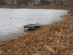 Szeged, Vér-tó, nád, nádvágás, január
