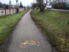 Szeged, Újszeged, Szőregi út, kerékpárút, felújítás, kerékpáros