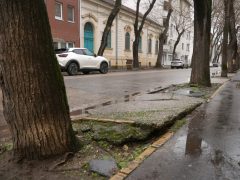 Szeged, felújítás, Hajnóczy utca