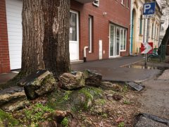 Szeged, felújítás, Hajnóczy utca