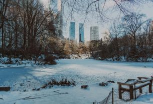 New Yorkban. Havazás. Amerika. Tél.