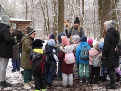 Szeged, Medveles, Vadaspark, medve, maci, Mici, Ursula, tél, hó, hideg, február, óvodások
