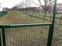 Szeged, Hargitai utca, Fülemüle utca, kutyafuttató, újszeged