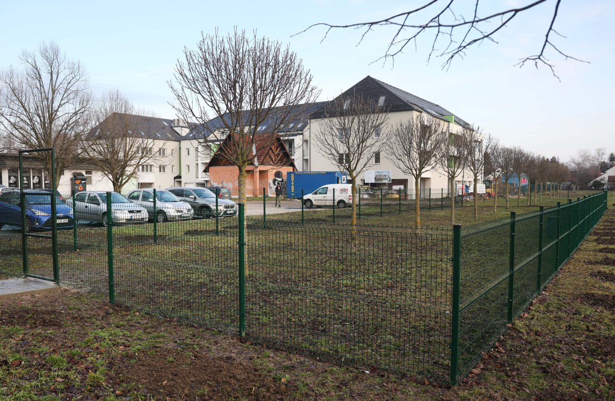 Szeged, Hargitai utca, Fülemüle utca, kutyafuttató, újszeged