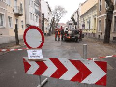 Szeged, felújítják, felújítás, Hajnóczy utca, fakivágás, fák, fa