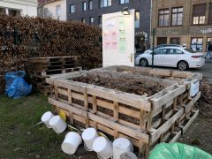 Szeged, Dáni utca, udvar, közösségi komposztáló, komposztáló