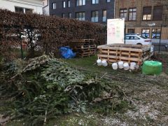 Szeged, Dáni utca, udvar, közösségi komposztáló, komposztáló